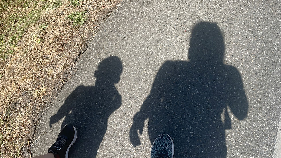 Two people’s shadows and shoes on a sunlit sidewalk beside dry grass, suggesting a casual walk.
