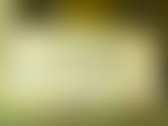 W Hotel - The Great Room