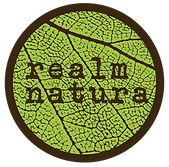 RN-Bright-Green-Chocolate-Circle-Web.png