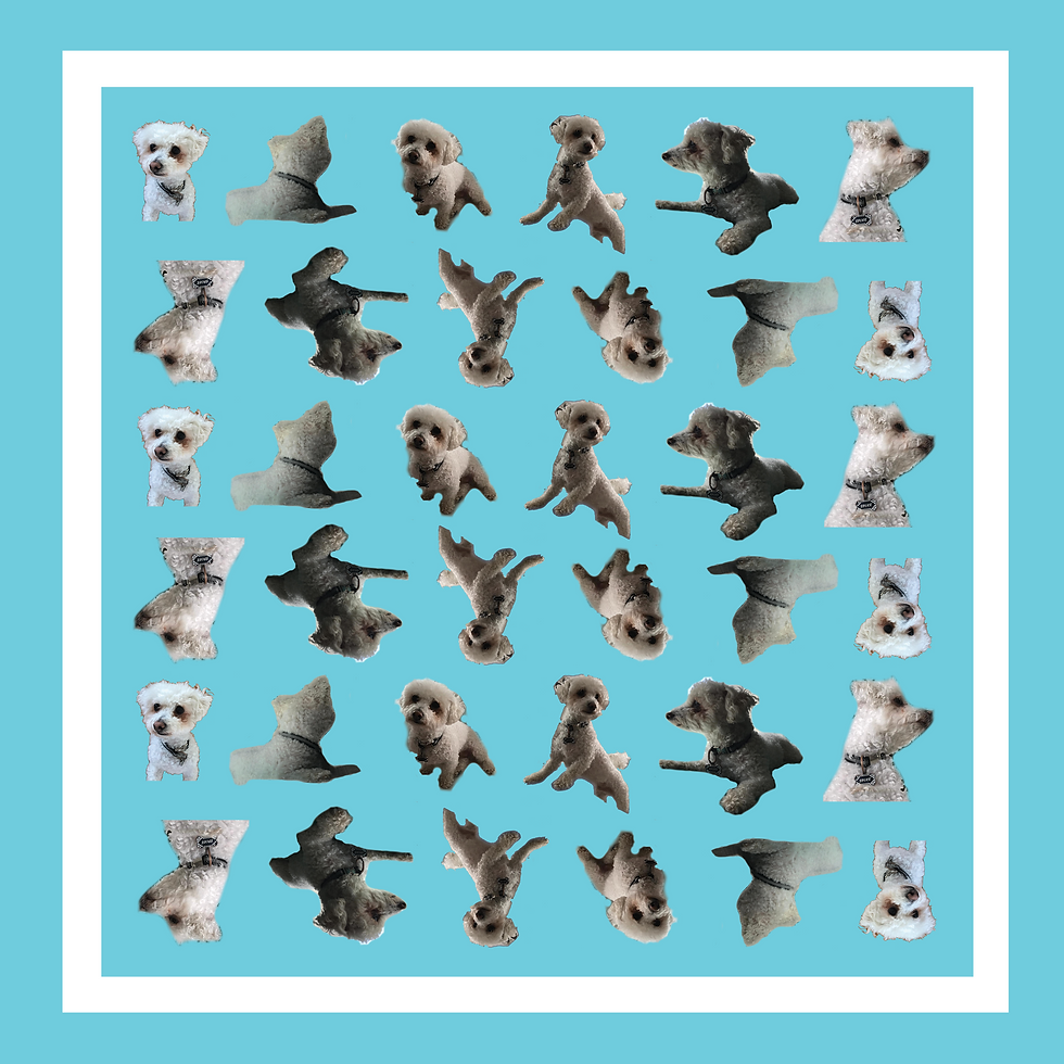 Scarf Pattern 9