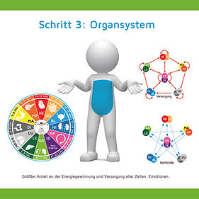 Schritt III OSYS.jpg