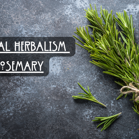 Magickal Herbalism - Rosemary