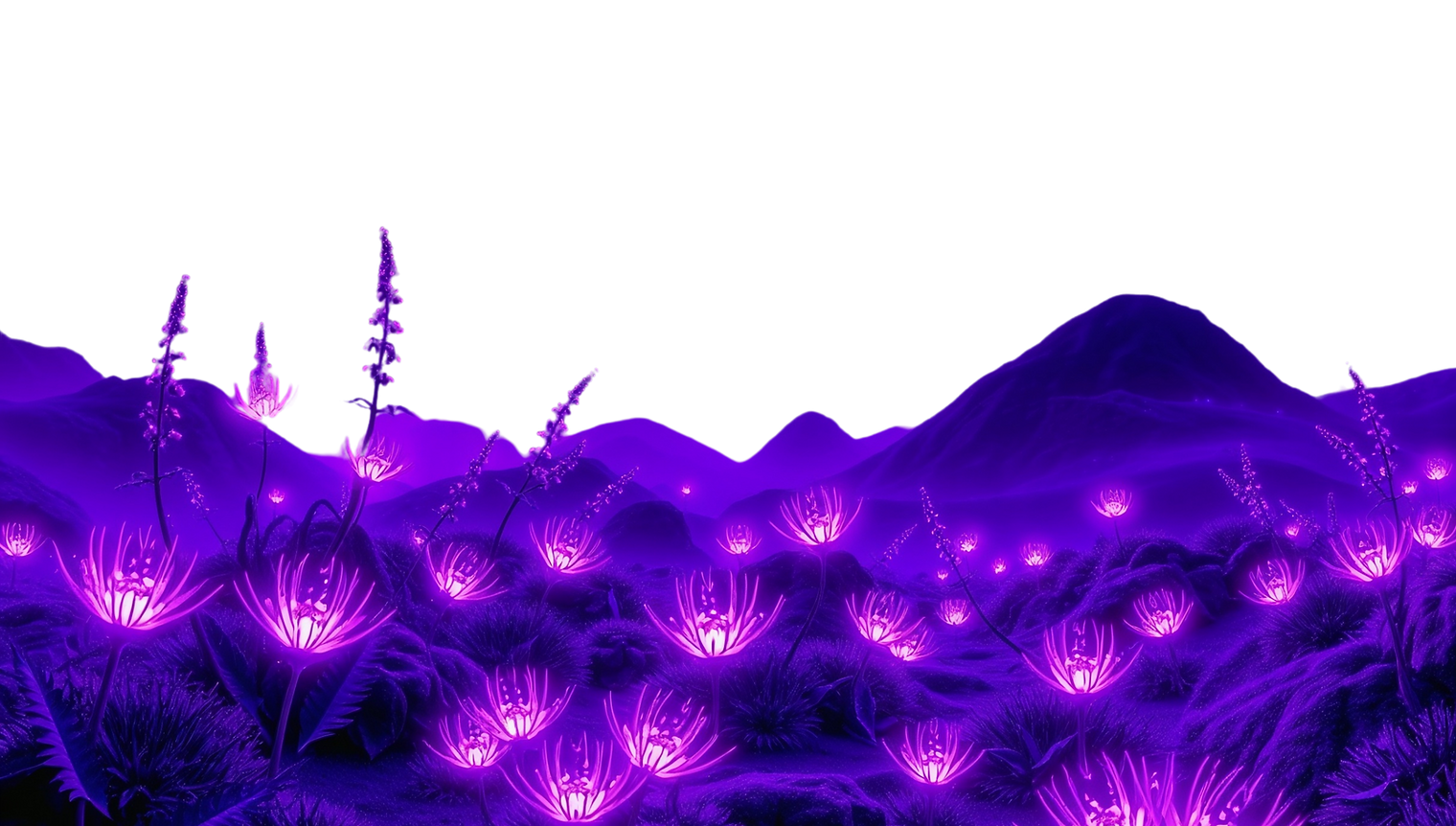 Cover for a MaxKomar slide.png