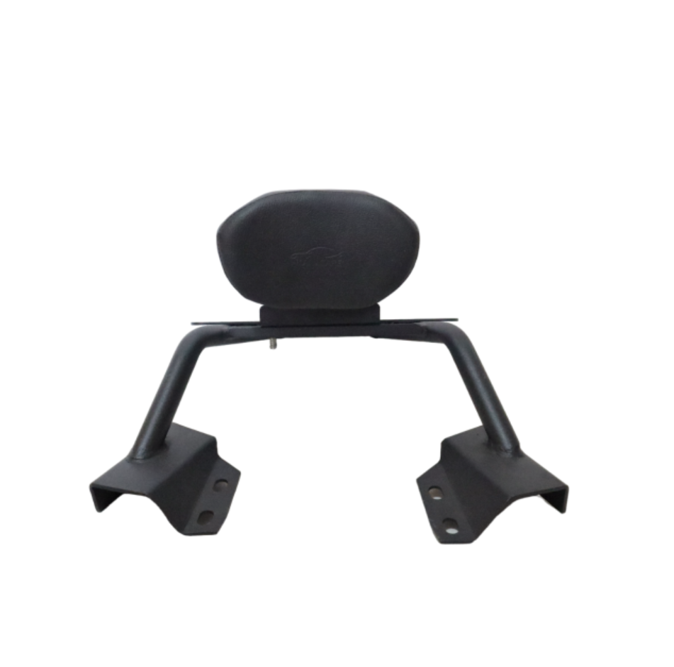 Thumbnail: Moto Care Carrier With Backrest (Yamaha FZ-S 25)