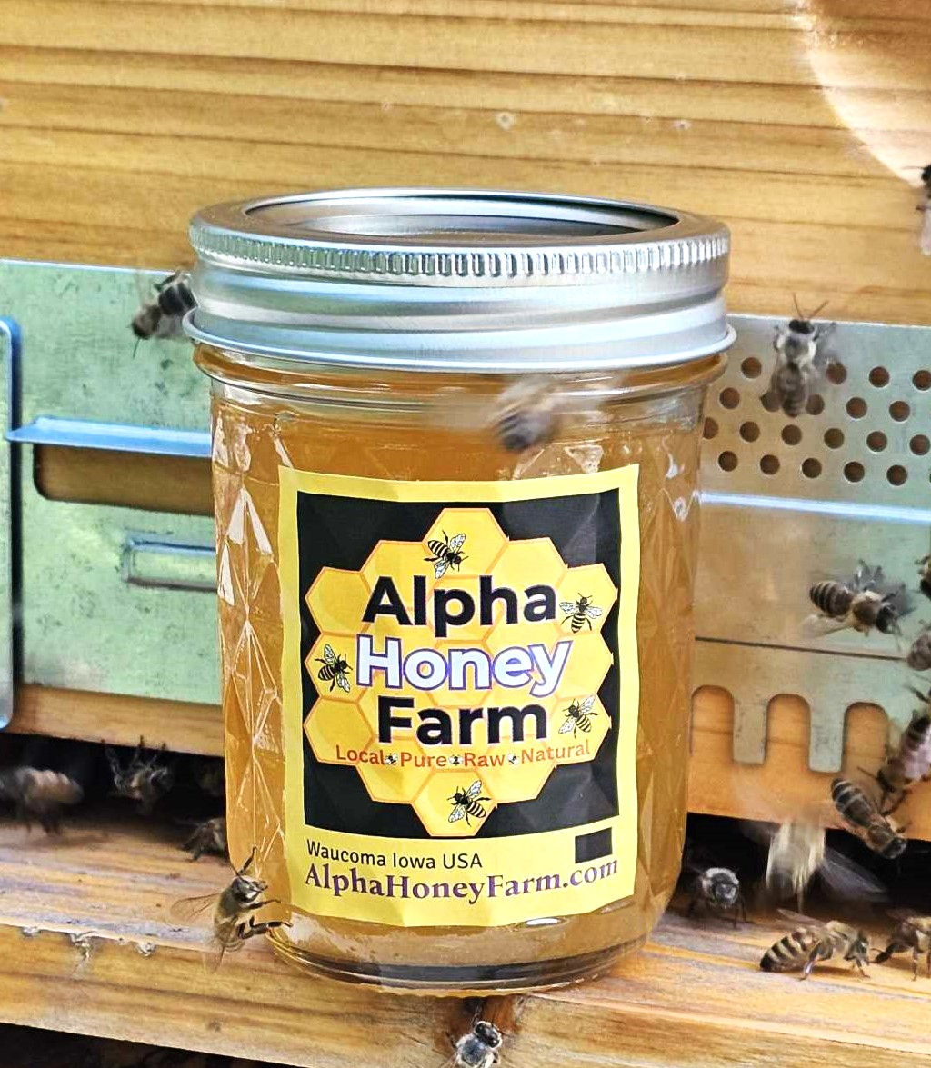 Bulk 6 Pints of Pure Raw Honey in Glass Jars