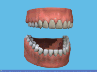 barrier-whitening.gif