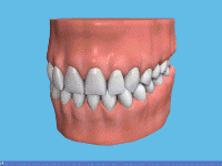 full-lower-with-bars (1).gif