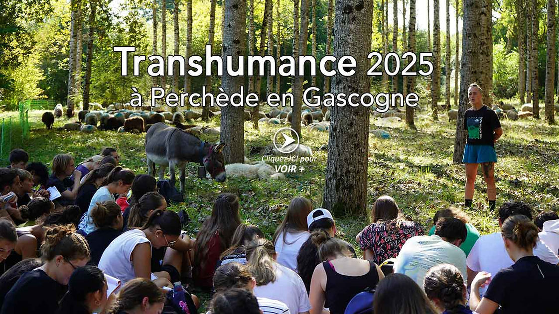 Couverture-site-Pimao.jpg