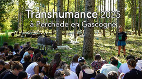 Transhumance 2025 à Perchède