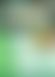 Atelier greffage le samedi 21 février.