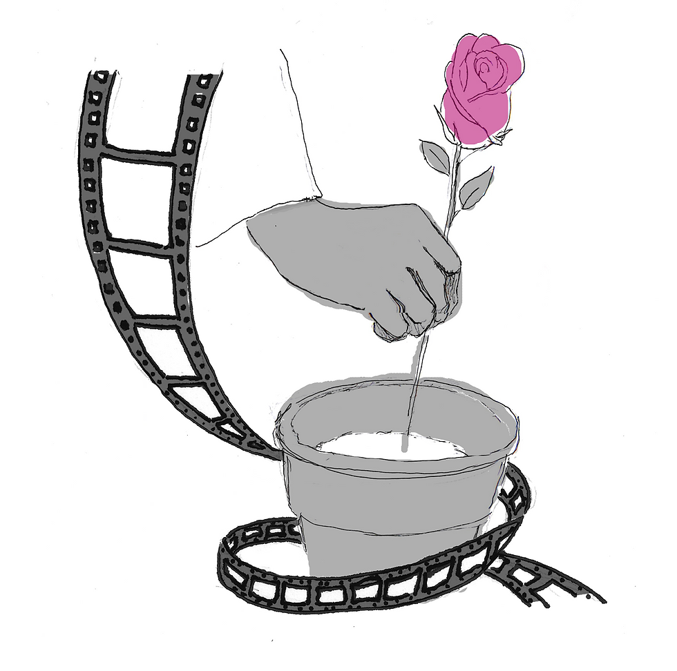 Film - Histoire d'un pot de fleur