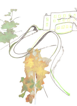 Croquis