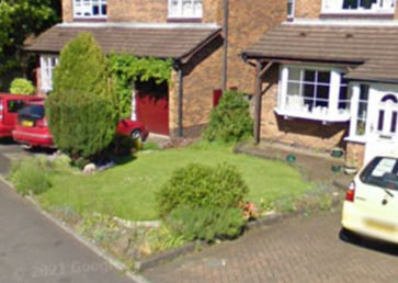 Garden 1