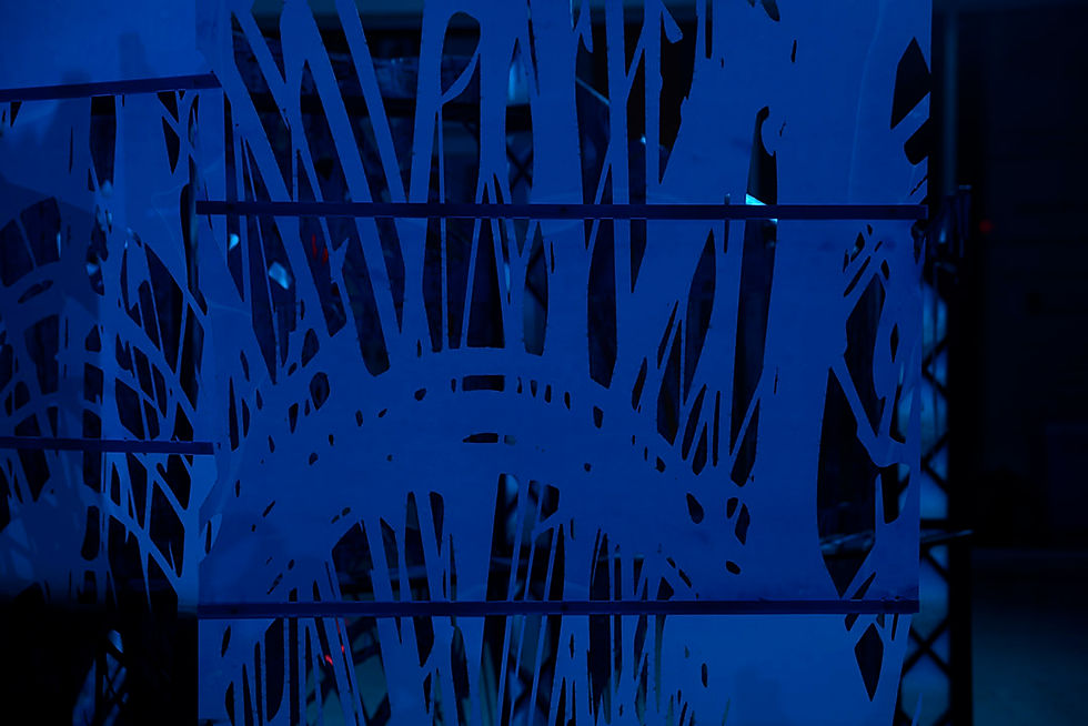 SIC:9999 (detail)