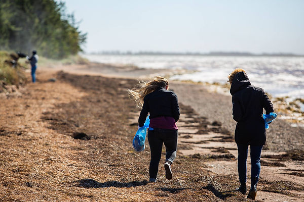 ecofestival2018-menage ton rivage avec Acade Surf et Verts Rivages.jpg