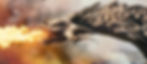 dragon-4758109_edited.jpg