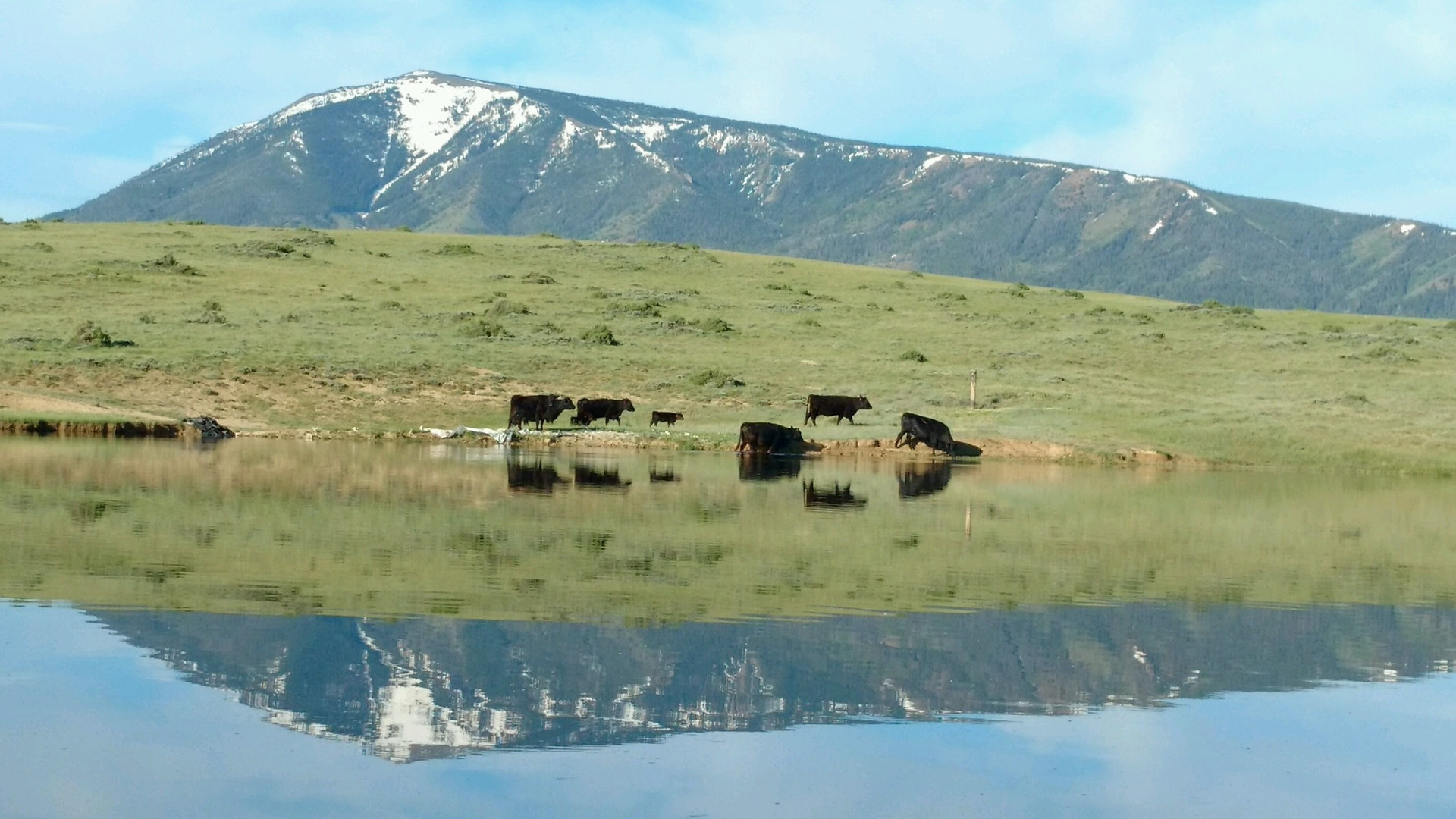 Wyoming Town of Elk Mountain Wyoming United States