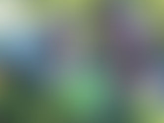 Hacia un Uruguay sin barreras: INEFOP acompaña el desarrollo de personas con discapacidad