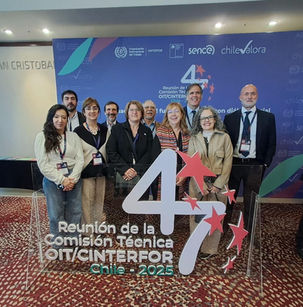 Diálogo tripartito y matriz de empleo: INEFOP en 47ª Reunión de Comisión Técnica OIT/Cinterfor