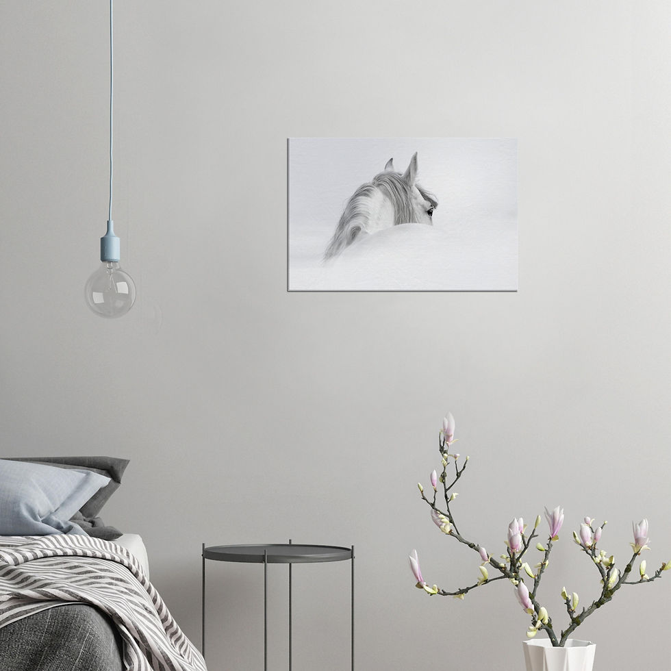 Thumbnail: Gray Andalusian horse in a mist | Canvas