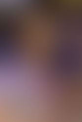 ANOTHER PIRATE ROYALTY RETURNS!