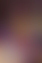 HOIST THE FLAGS! PIRATE SON RETURNS!