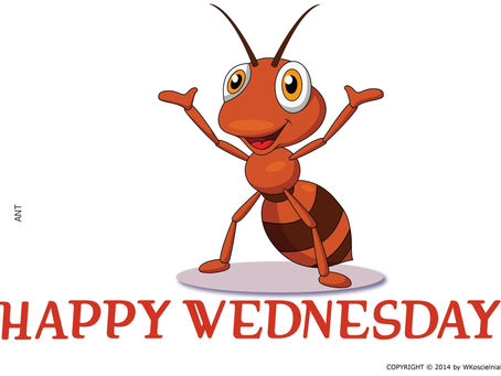 HAPPY WEDNESDAY
