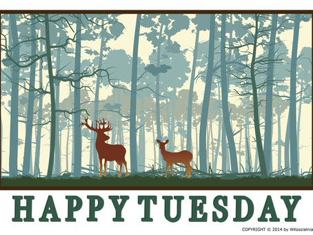 HAPPY TUESDAY