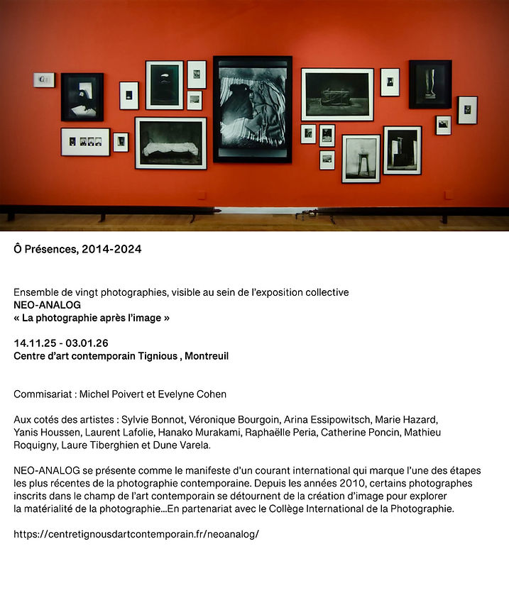 SARA IMLOUL NEO ANALOG.jpg