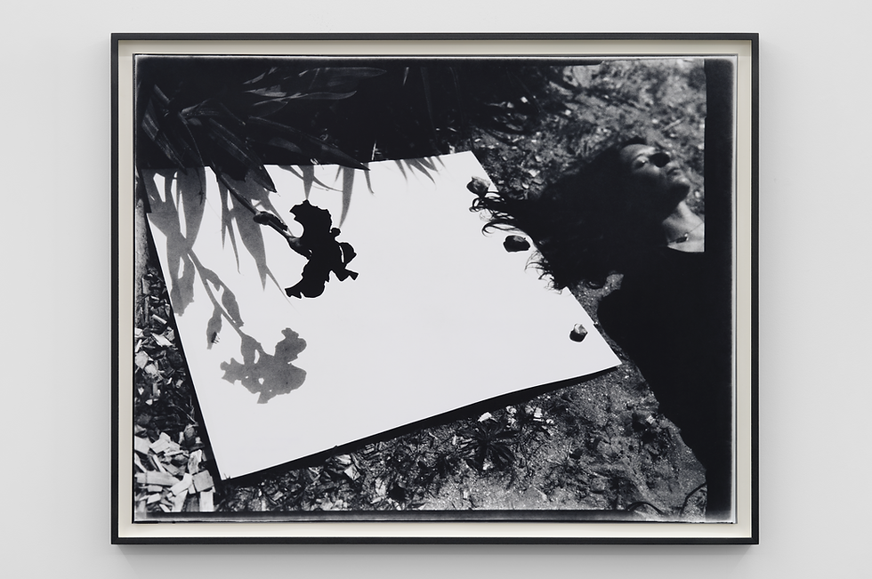 La Mémoire de l'Eau