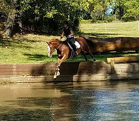 eventing, water jump