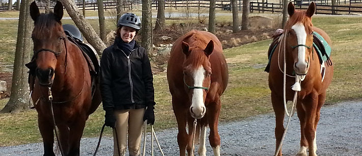 Working student with happy horses