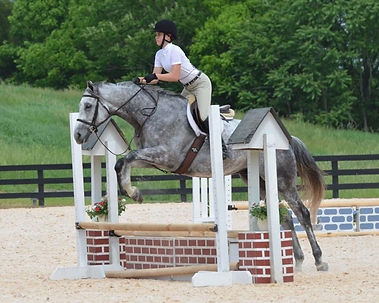 show jumpers