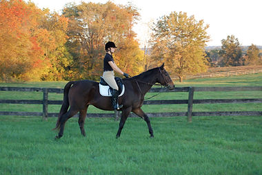 trail riding