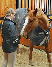Bonding with horses