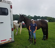 Professional skill development - grooming at horse shows