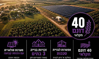 משק חקלאי