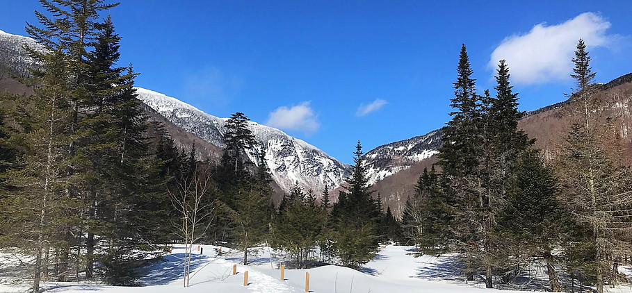 62A6E8A9-5357-4D5D-85BE-8B21319164E7.jpe