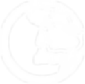 SkullPNP (1).png