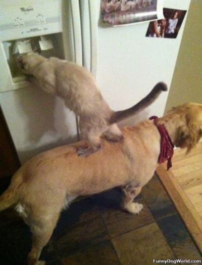 Great_Teamwork