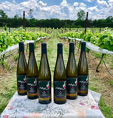 IMG_0101 (1) (1).jpg