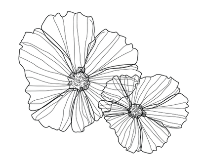 JM Website details 2.png