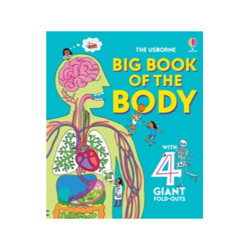 turquoise cover with top half of the inside of a body