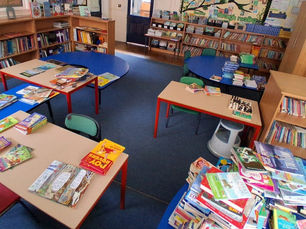 Library and Reading book organisation