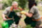 Stay Active and Connected with Gardening- Spirit of Hope