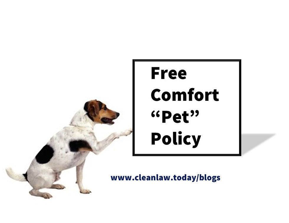 domestic insurance policy