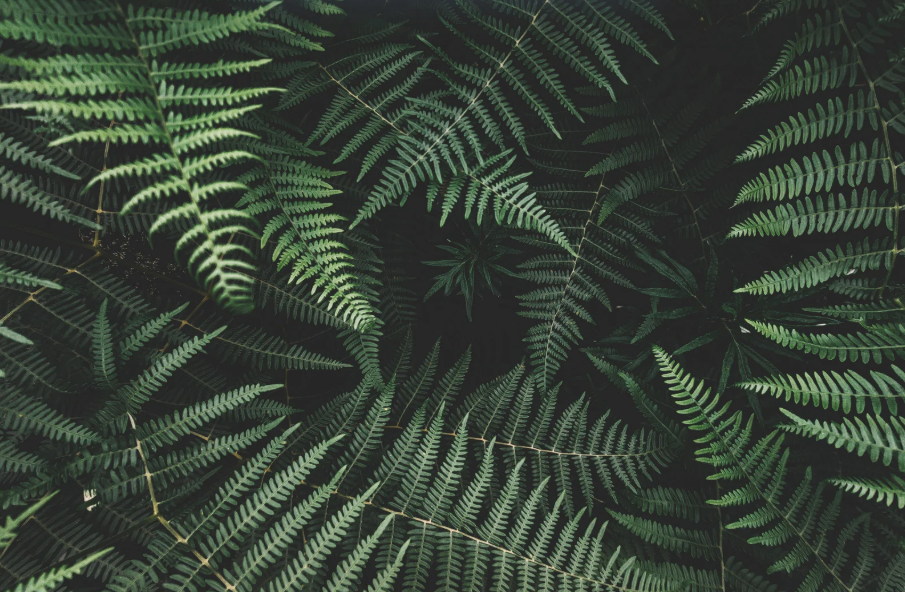 Screenshot 2025-10-06 011642.png