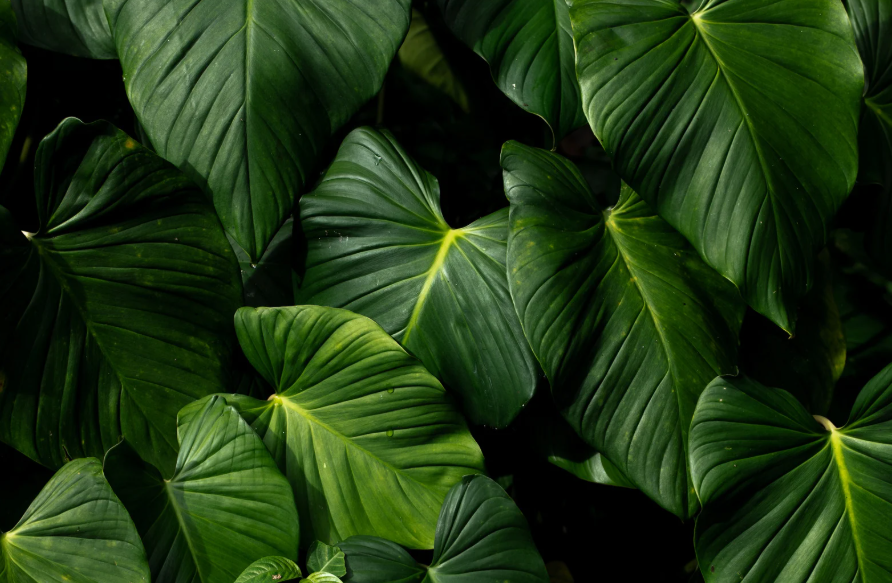 Screenshot 2025-10-06 011811.png