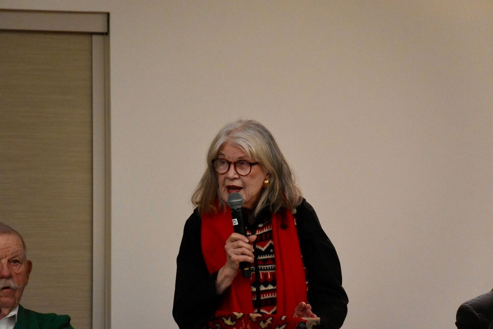 Donna Perricone, president of the Bay Shore Chamber of Commerce, has spoken out against the meters for many years.