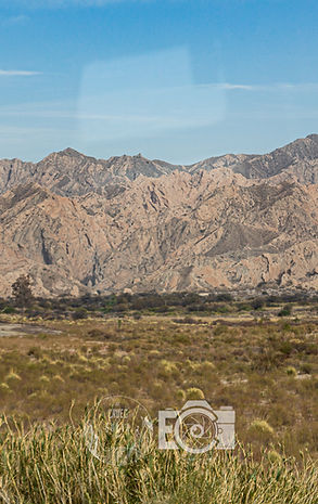 Copia de _MG_2999.jpg